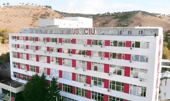 Caucasus International University